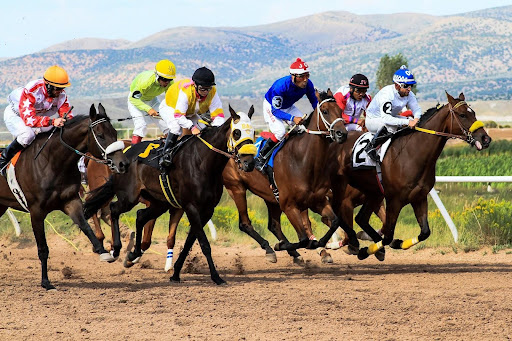 Horse Racing